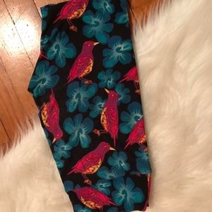 🍂Lularoe OS leggings, black with bright birds